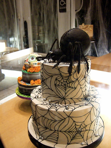 spider happy birthday